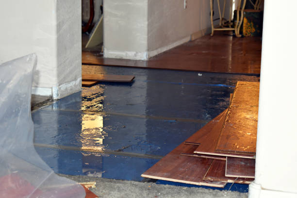 Professional Burst Pipe Cleanup technician working in Lula, GA